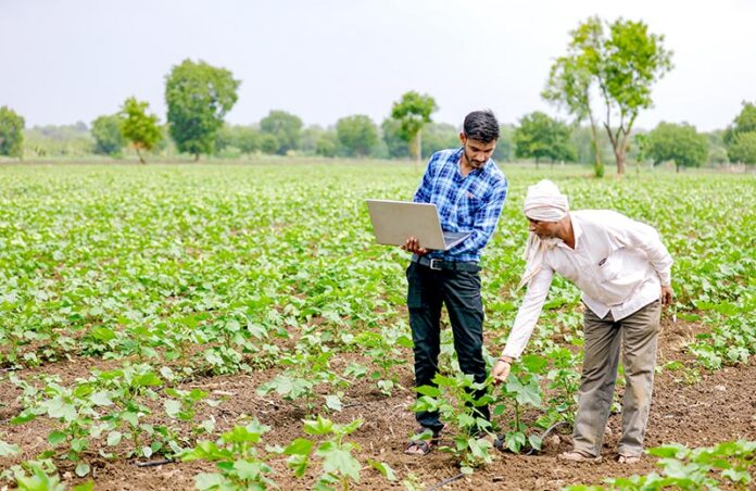 Farmers should be made aware of insurance schemes.
